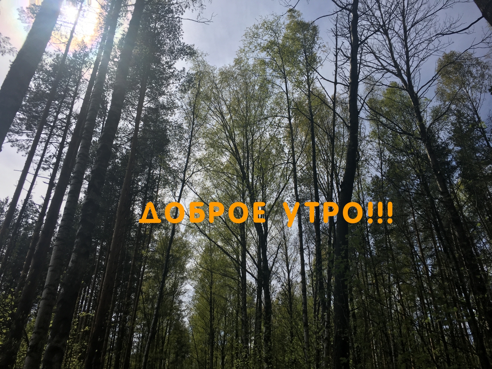 Доброе утро!