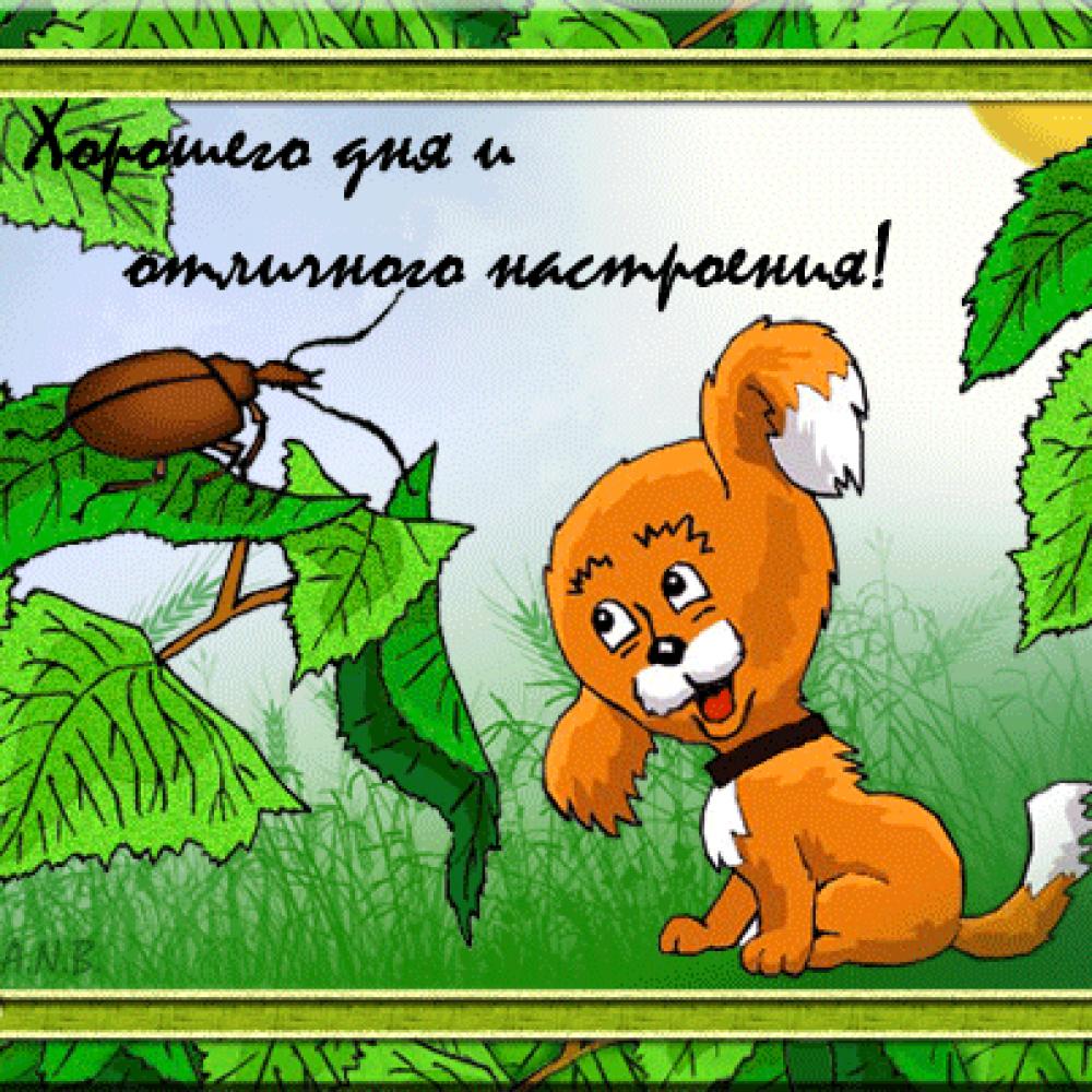 Хорошего дня и отличного настроения!