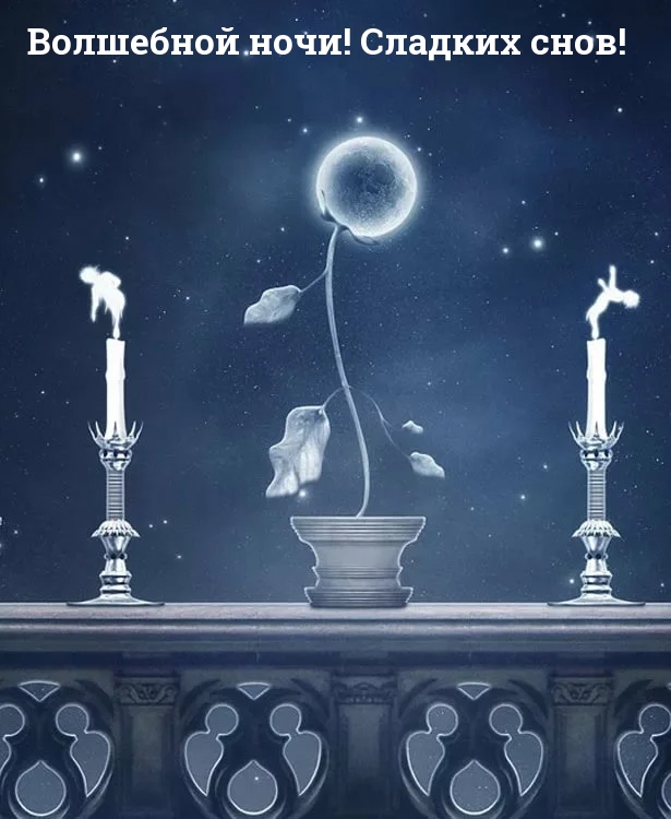 Волшебной ночи! Сладких снов!