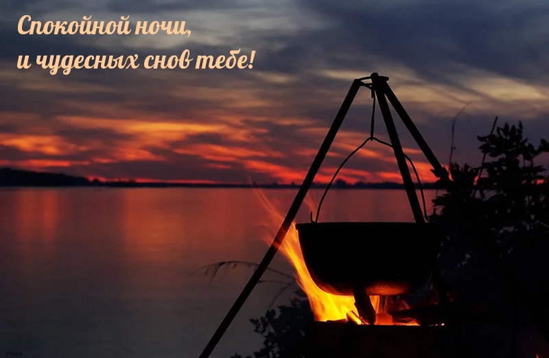 Спокойной ночи, и чудесных снов тебе!