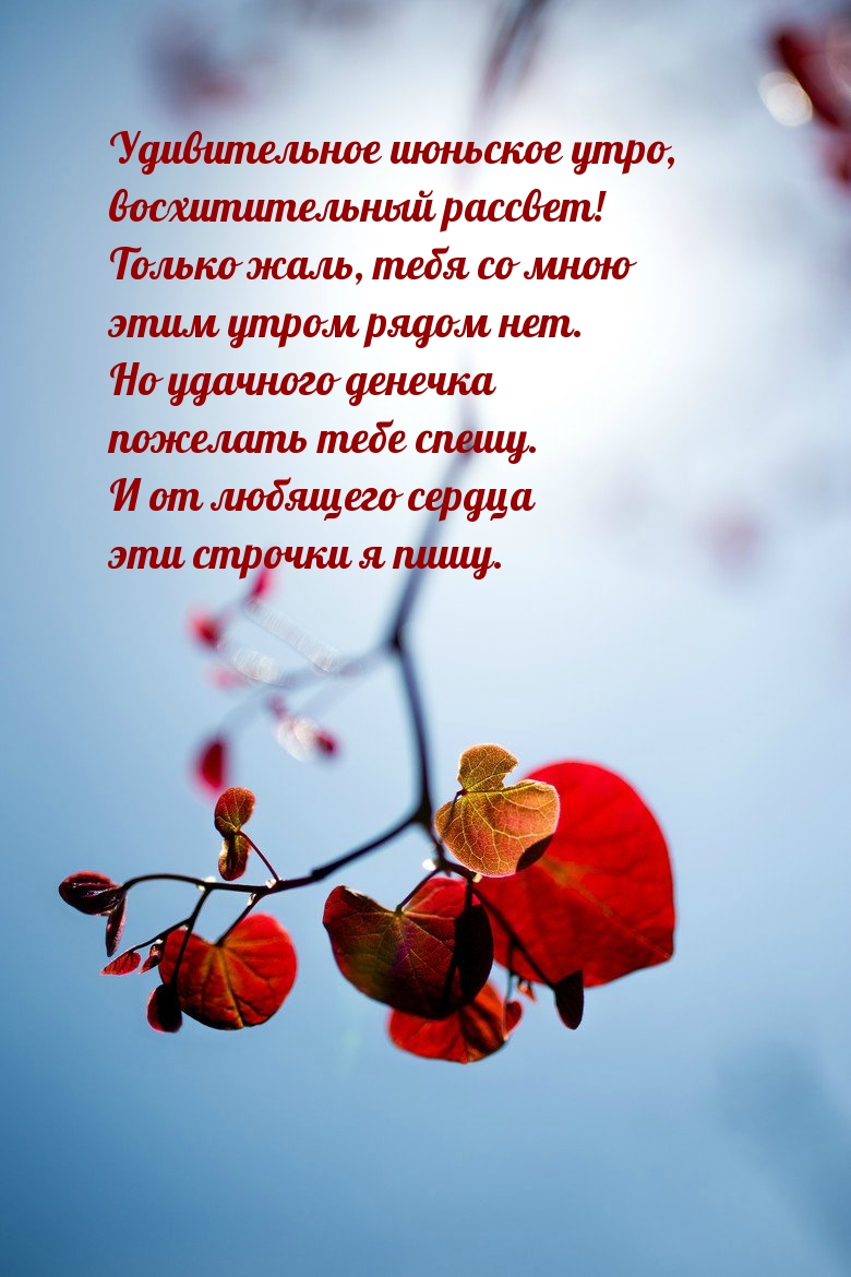 Картинка - Удивительное июньское утро, восхитительный рассвет!.