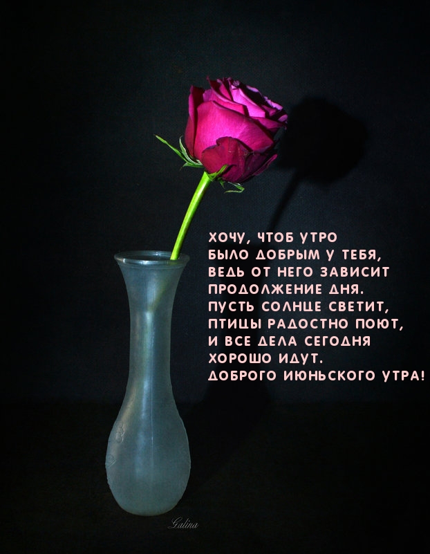 Доброго июньского утра! Стихотворение