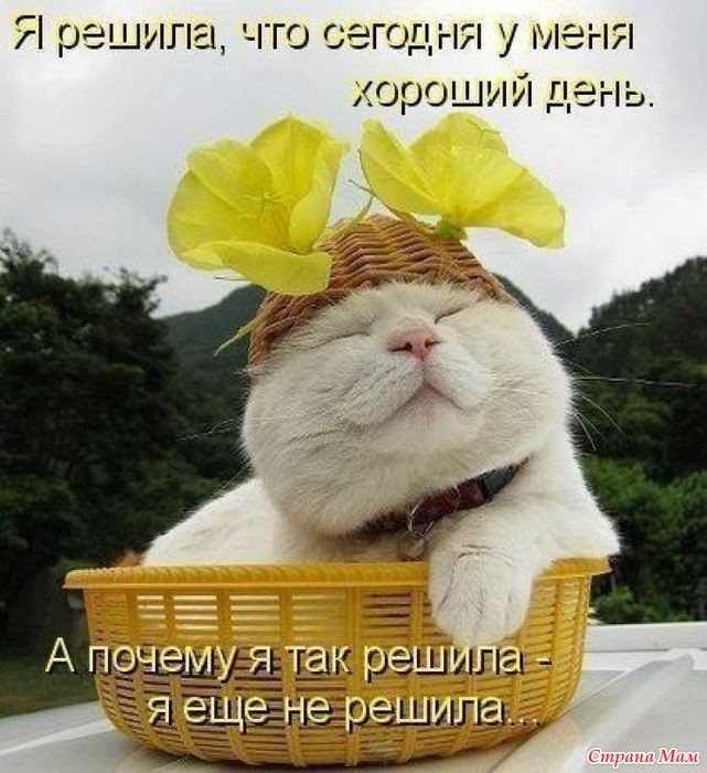 Я решила, что у меня сегодня — хороший день!
