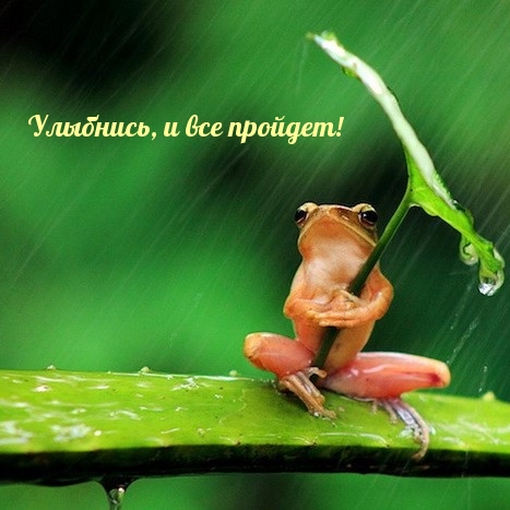 Улыбнись, и все пройдет!