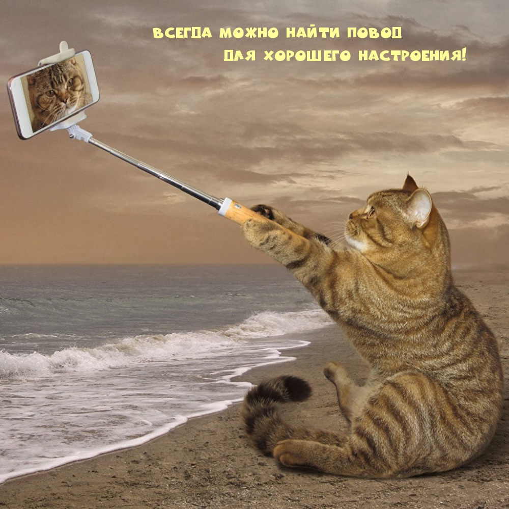 Всегда можно найти повод для хорошего настроения!