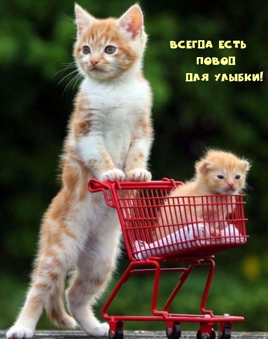 Всегда есть повод для улыбки!