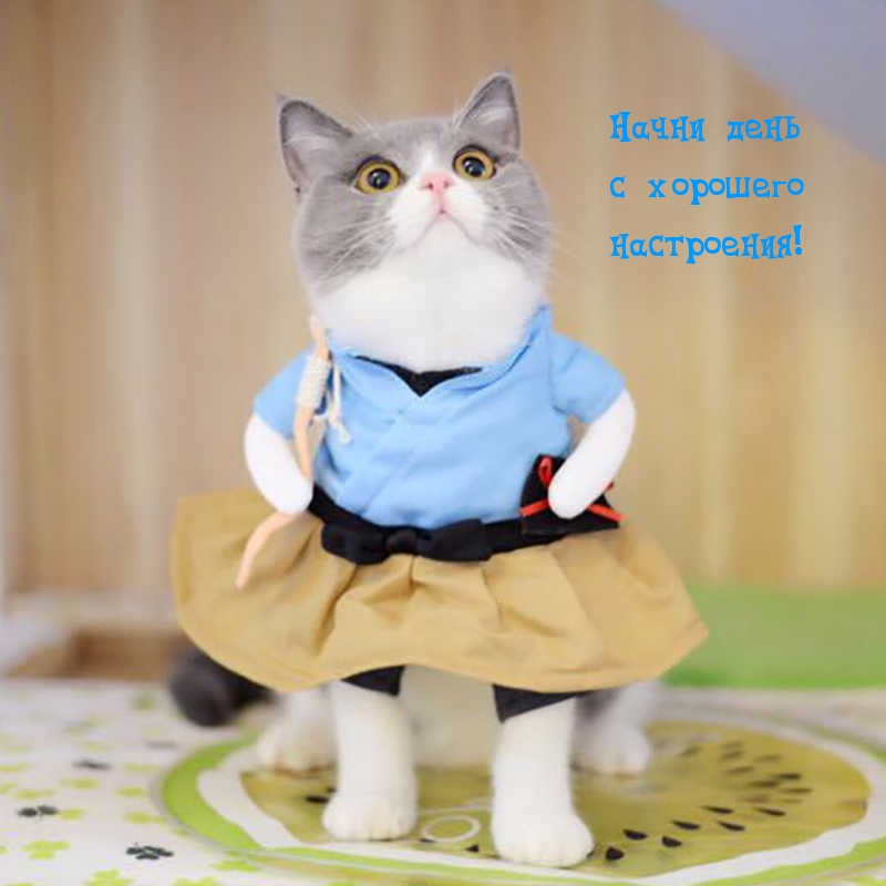 Начни день с хорошего настроения!