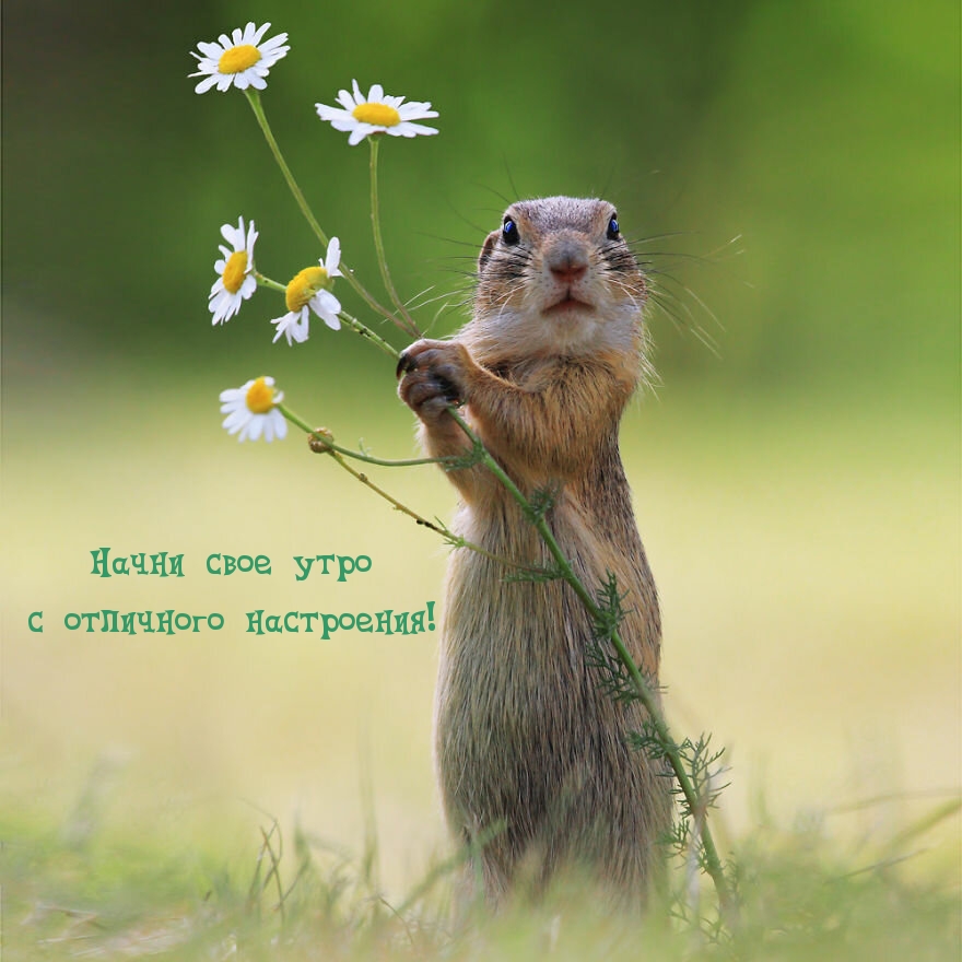 Начни свое утро с отличного настроения!