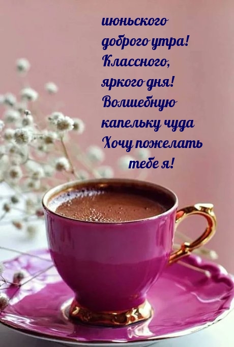 Июньского доброго утра! Классного, яркого дня!