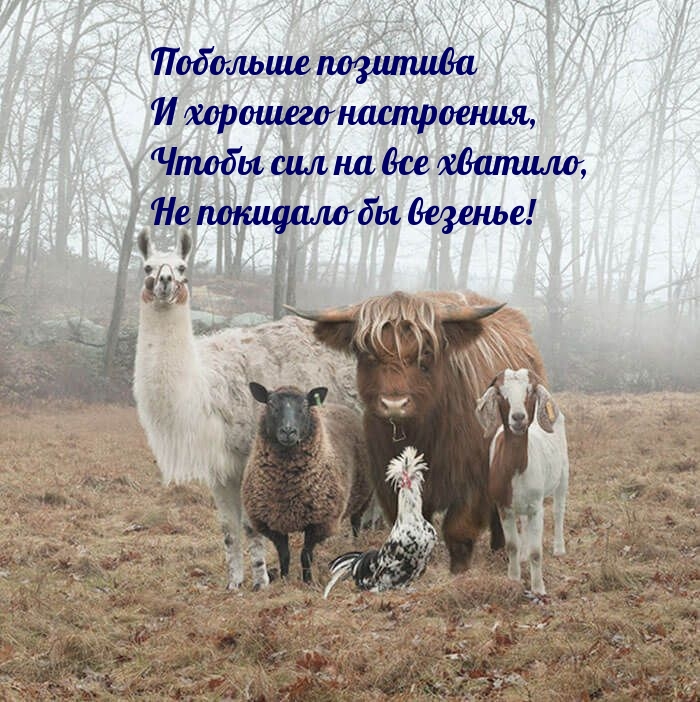 Побольше позитива и хорошего настроения