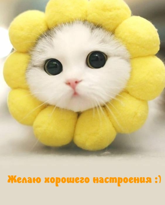 Желаю хорошего настроения :)