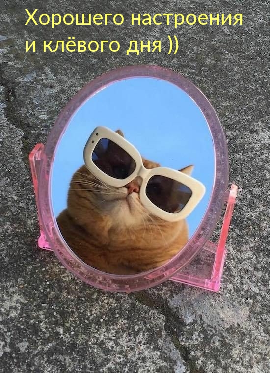Хорошего настроения и клёвого дня ))