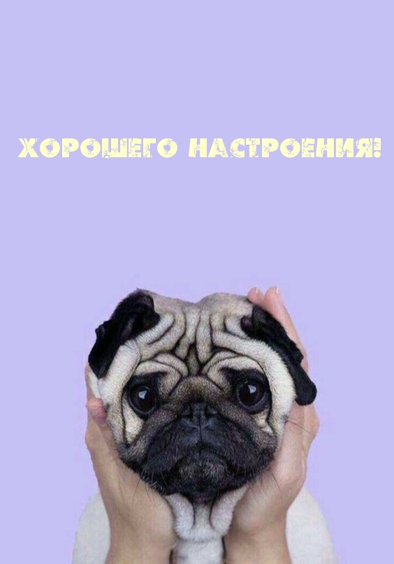 Хорошего настроения!