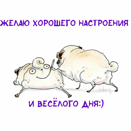 Желаю хорошего настроения и весёлого дня!