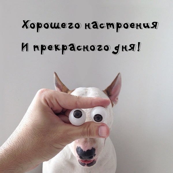 Хорошего настроения! И прекрасного дня!