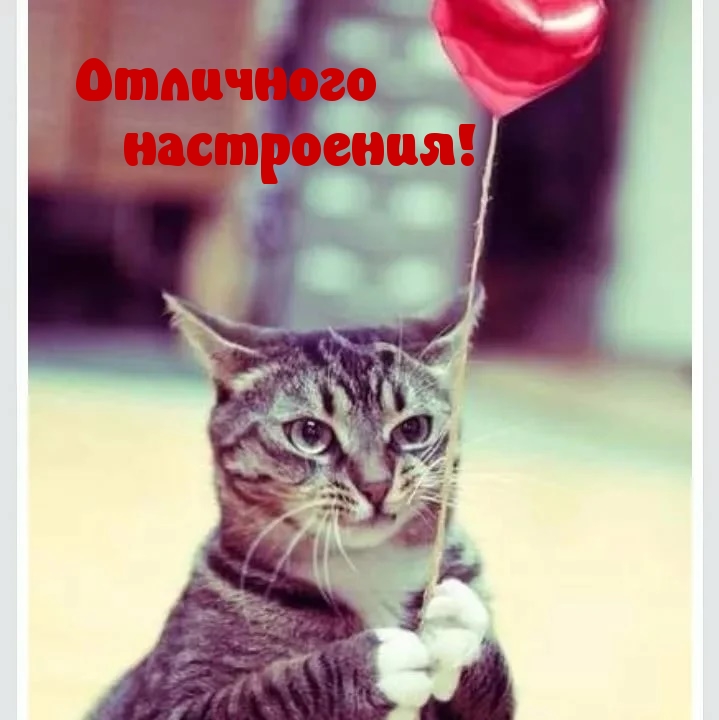 Отличного настроения!