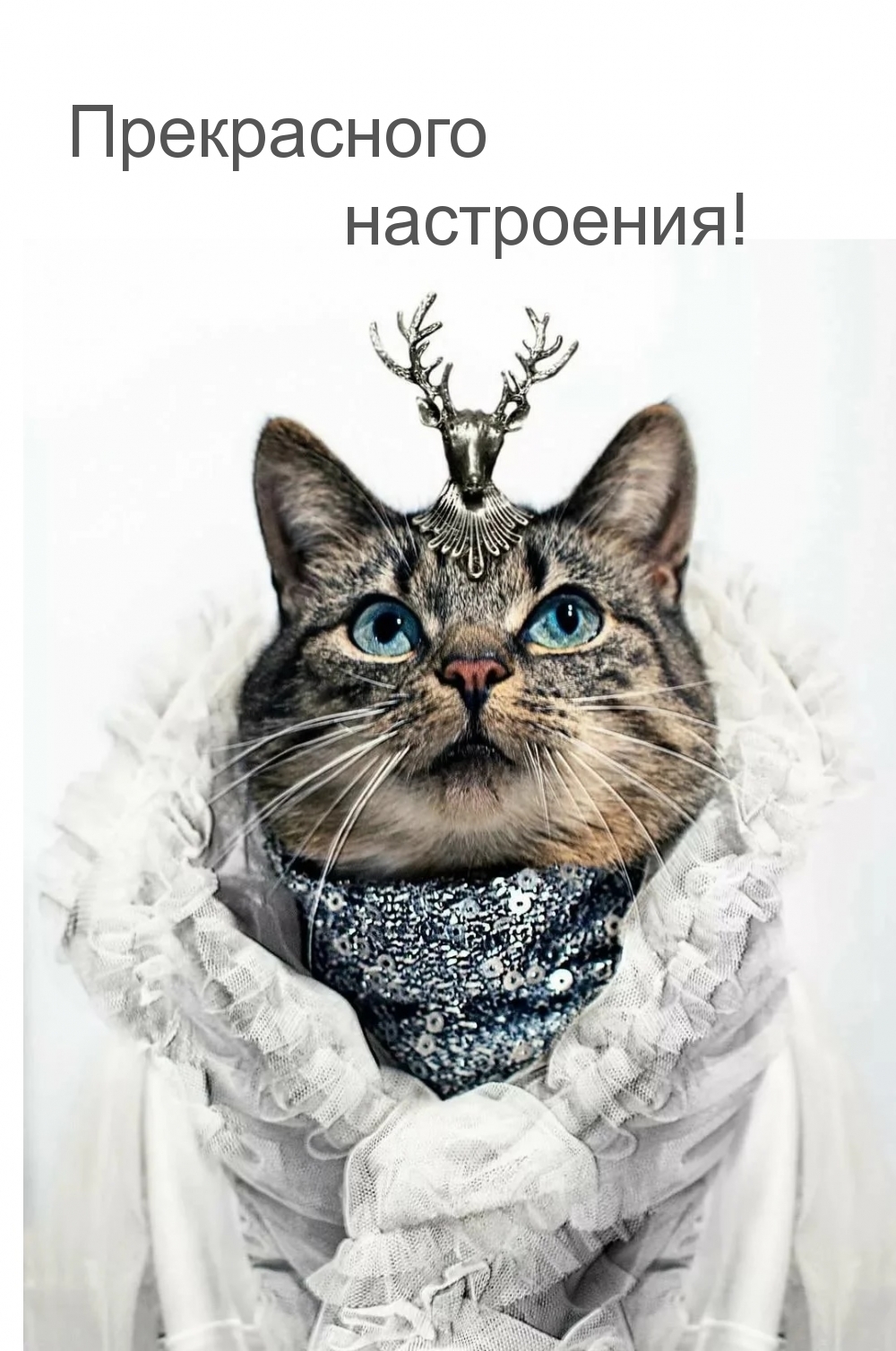 Прекрасного настроения!