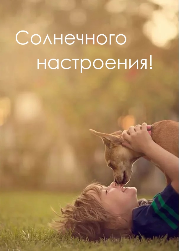 Солнечного настроения!