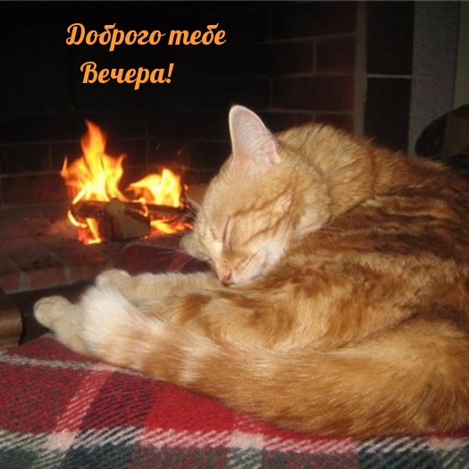 Доброго тебе Вечера!
