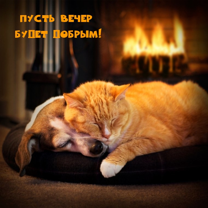 Пусть вечер будет Добрым!