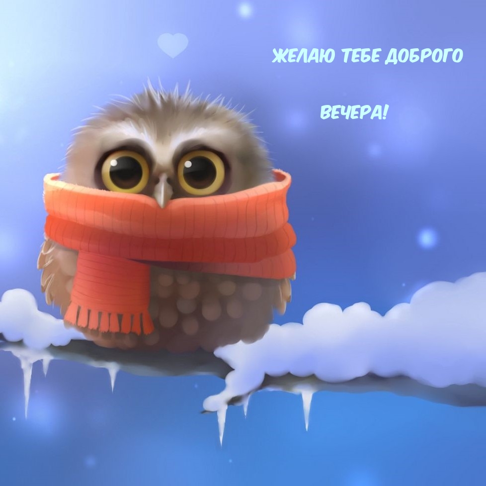 Желаю тебе доброго Вечера!