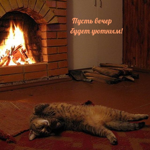 Пусть вечер будет уютным!