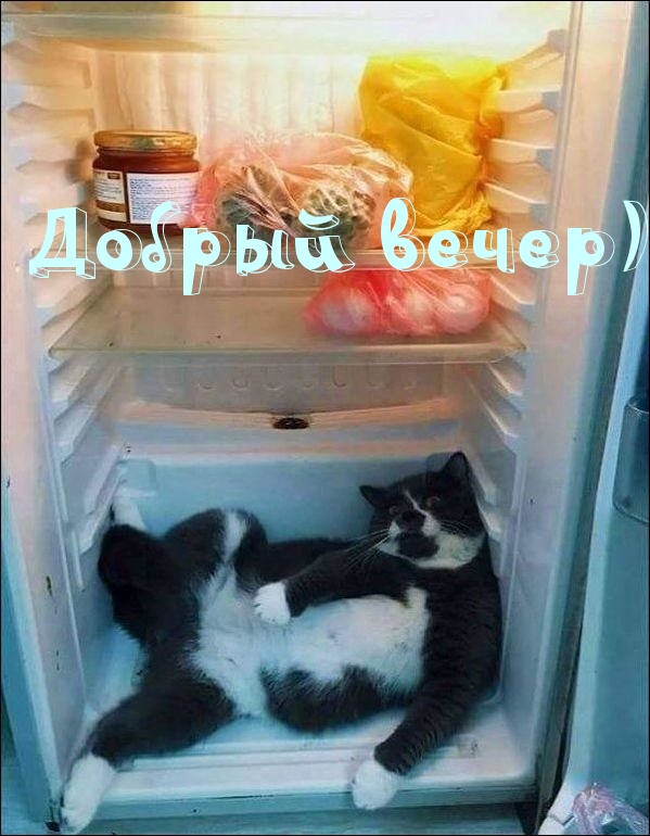 Добрый вечер)