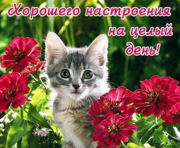 Хорошего настроения на целый день
