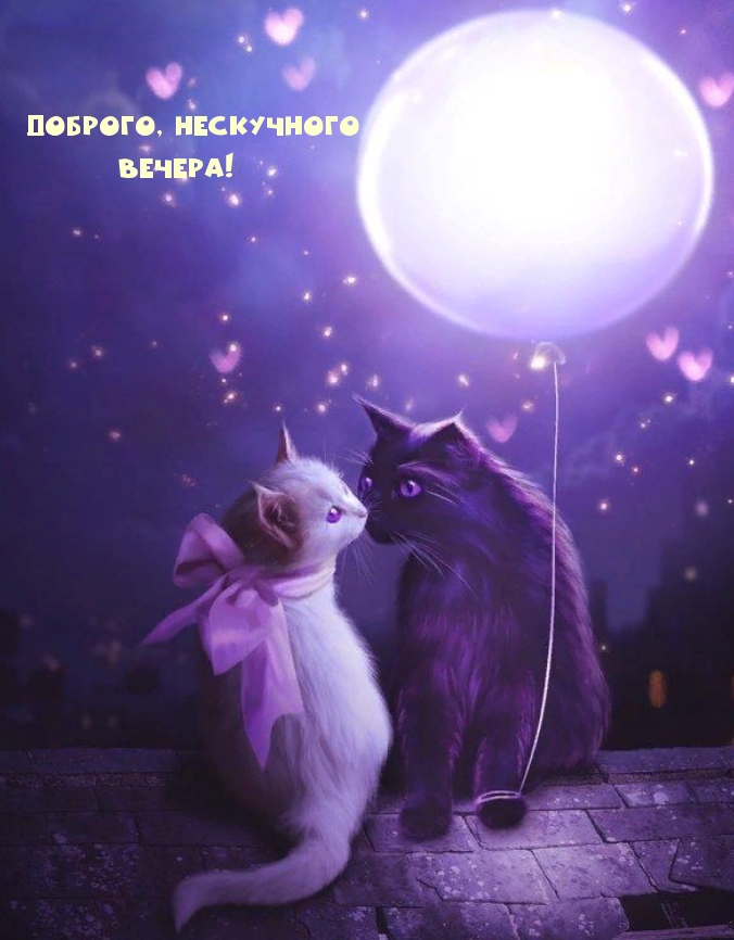 Доброго, нескучного Вечера!
