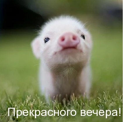 Картинка - Прекрасного вечера!.