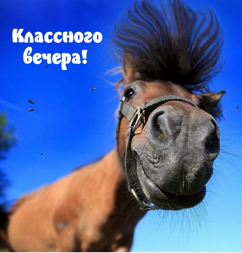 Классного вечера!