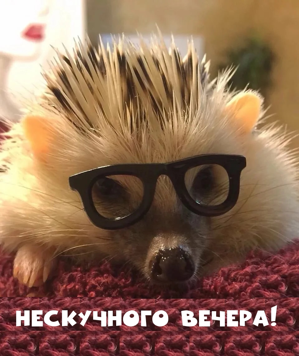 Нескучного вечера!