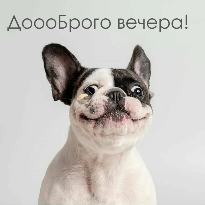 ДоооБрого вечера!