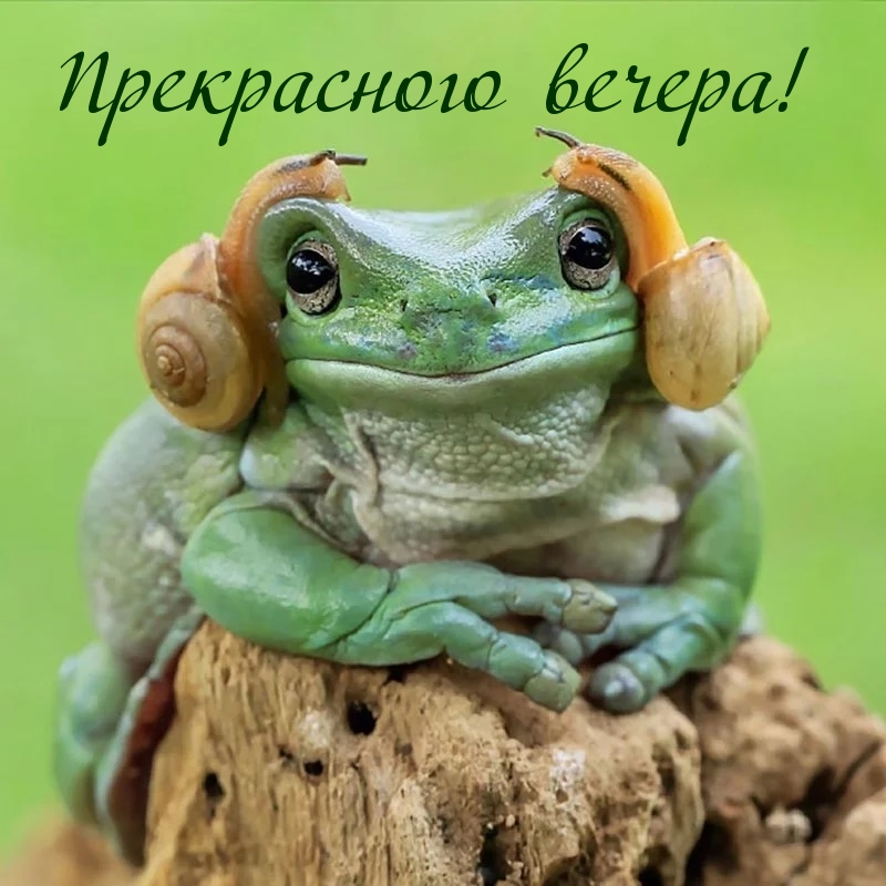 Прекрасного вечера!