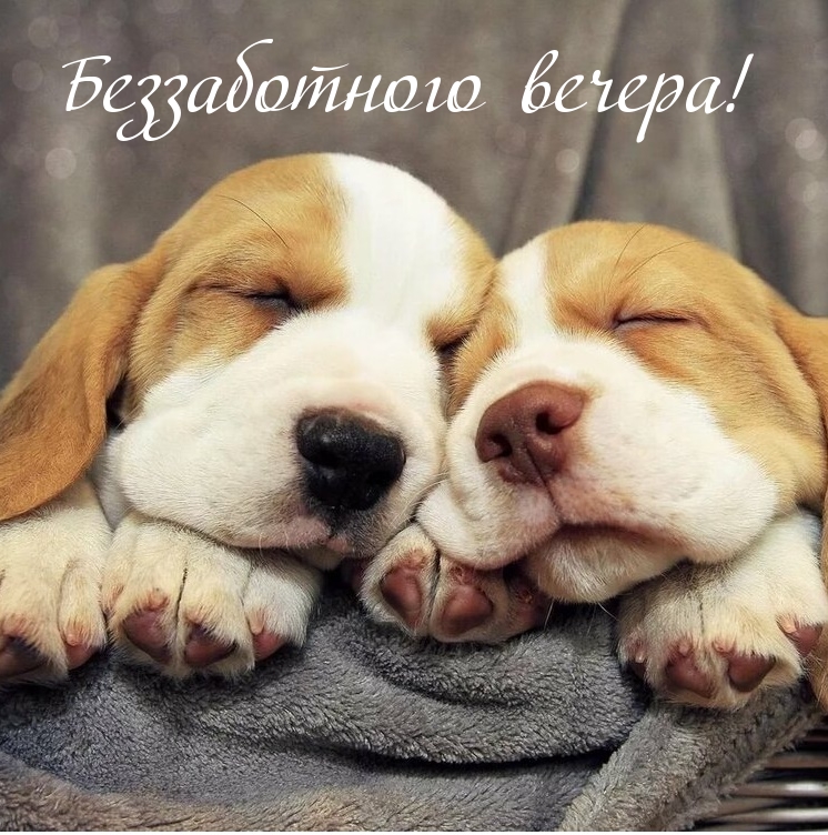 Беззаботного вечера!
