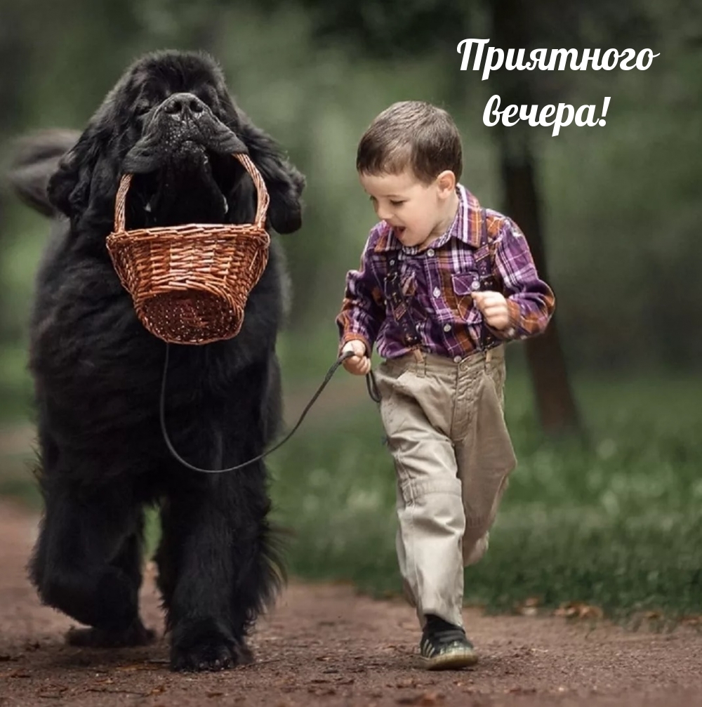 Приятного вечера!