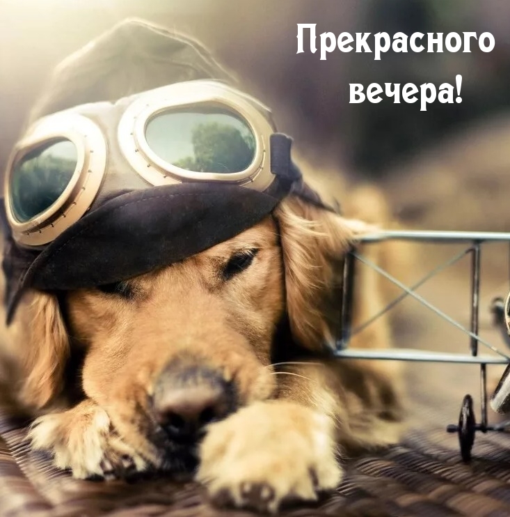 Прекрасного вечера!