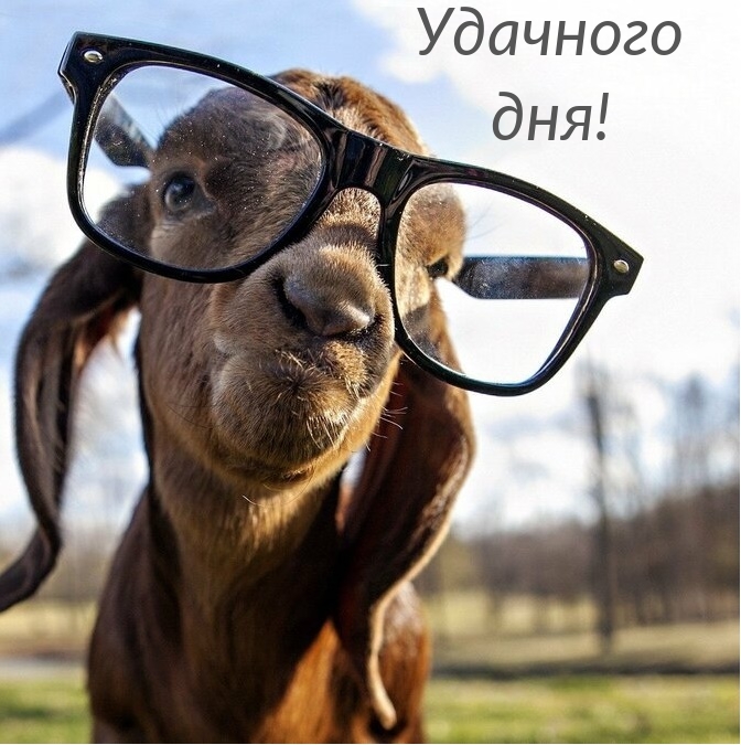 Удачного дня!