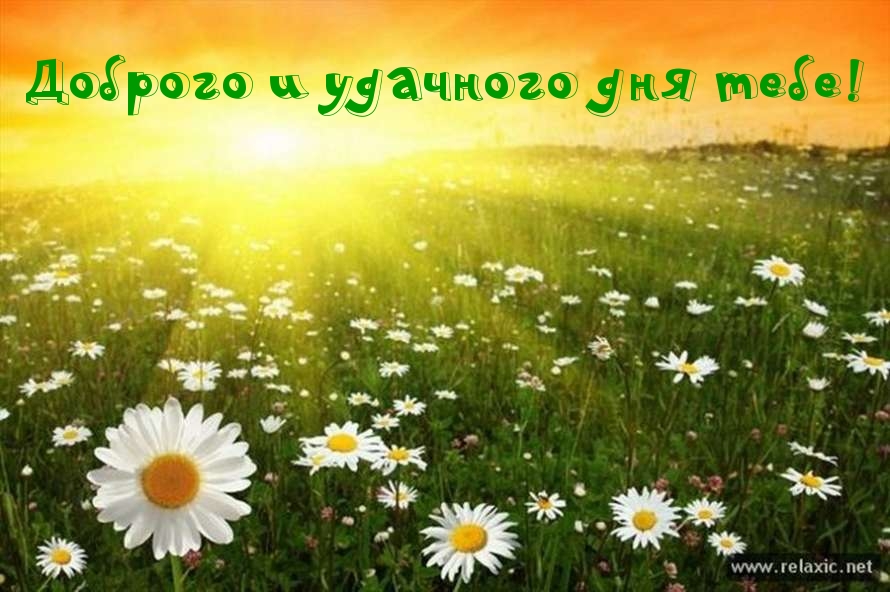 Доброго и удачного дня тебе!