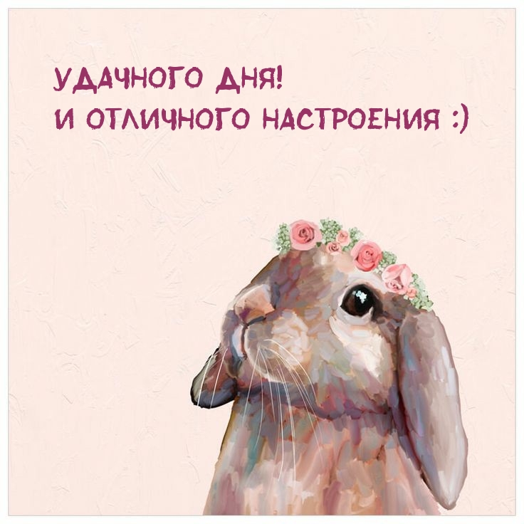 Удачного дня! И отличного настроения :)