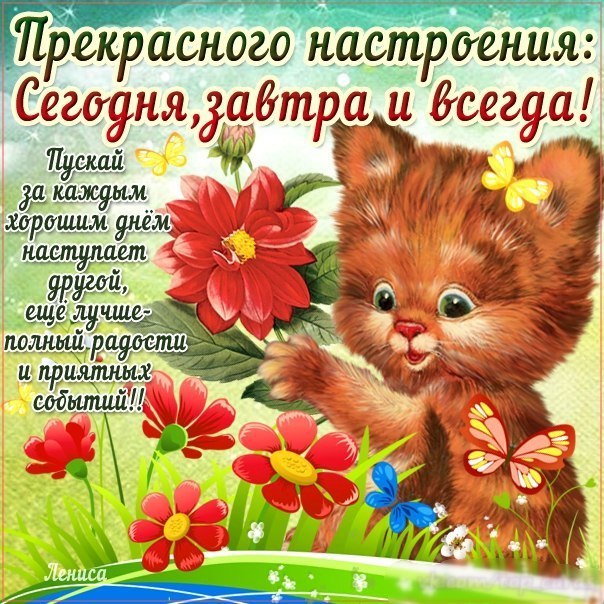 Прекрасного настроения! Сегодня, завтра и всегда!