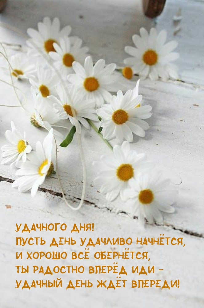Удачного дня! Пусть день удачливо начнётся