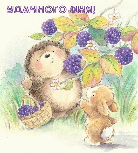 Удачного дня!