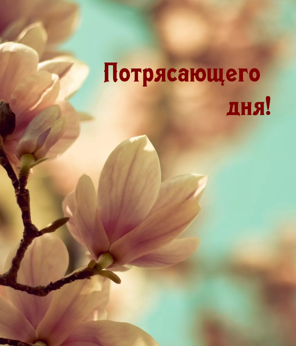 Потрясающего дня!