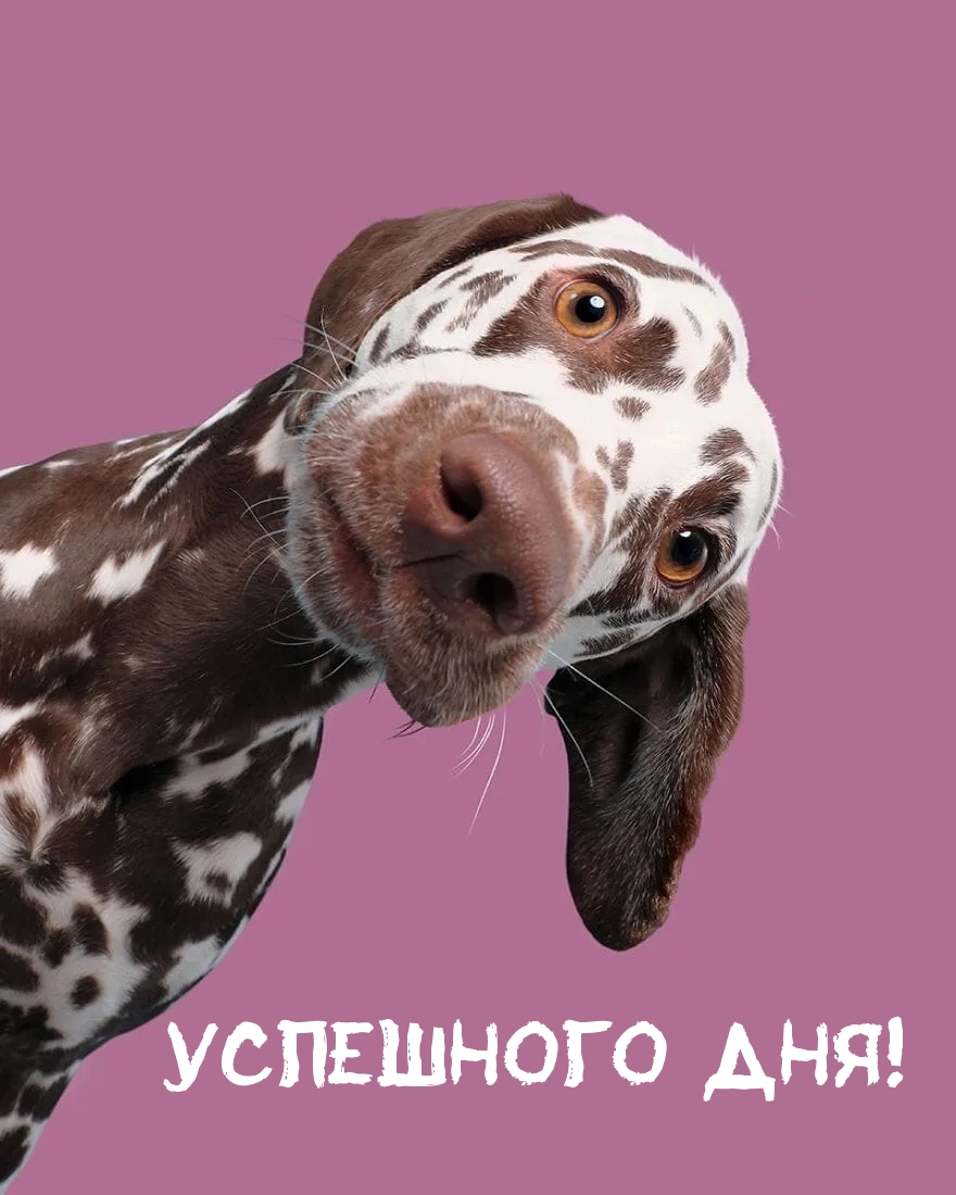 Успешного дня!