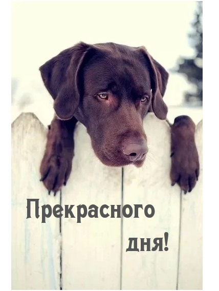 Прекрасного дня!