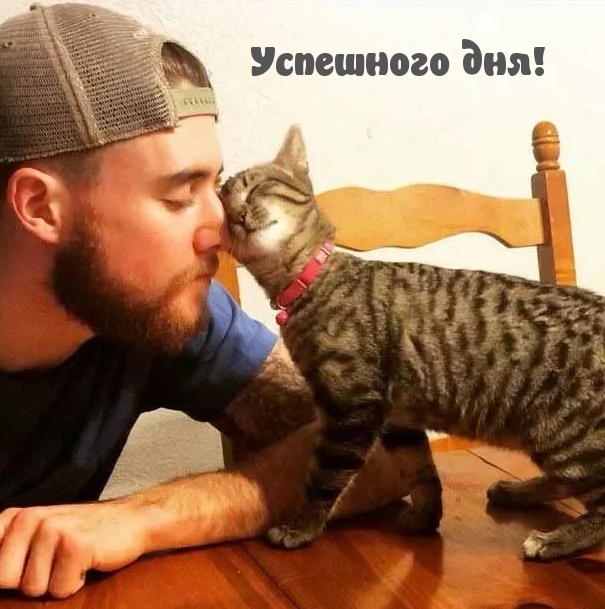 Успешного дня!