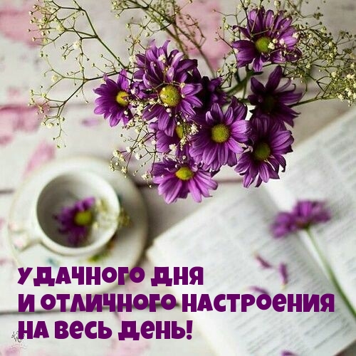 Удачного дня и отличного настроения на весь день!