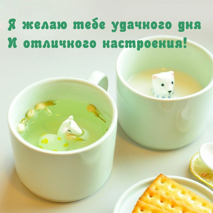 Я желаю тебе удачного дня и отличного настроения!