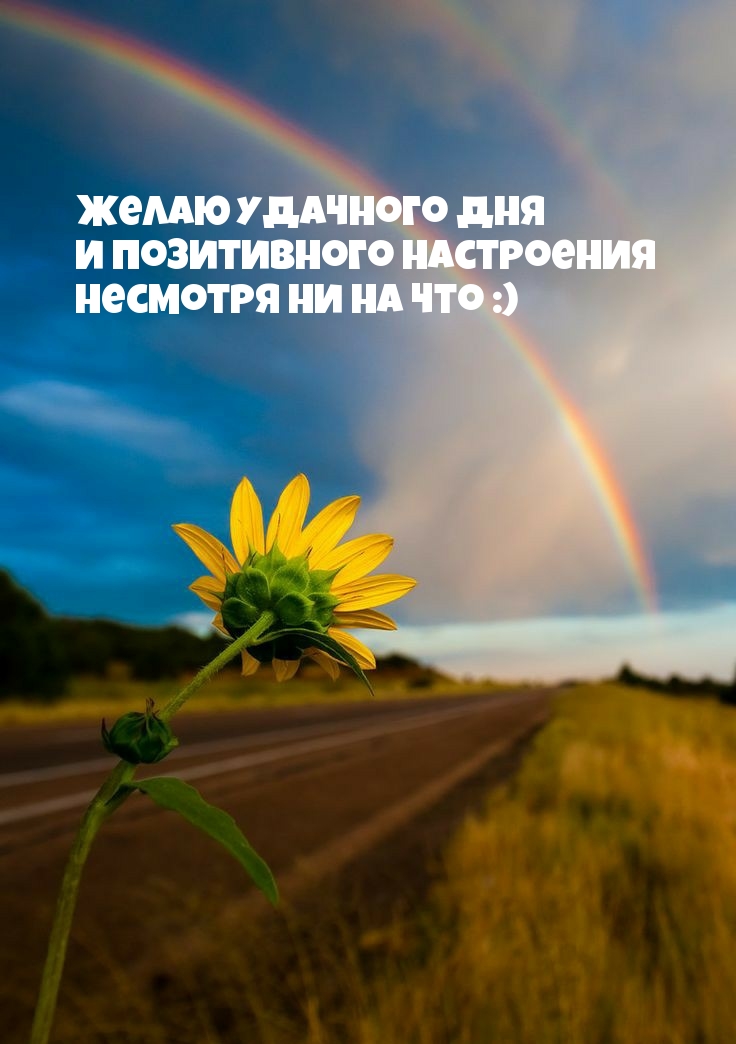 Желаю удачного дня и позитивного настроения